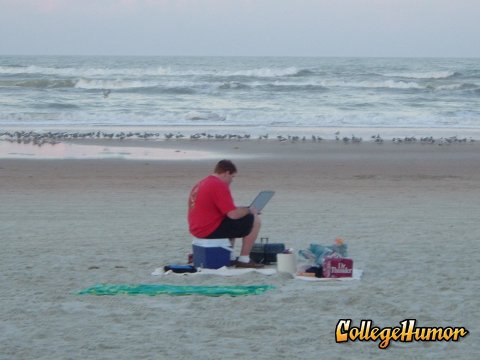 At the beach