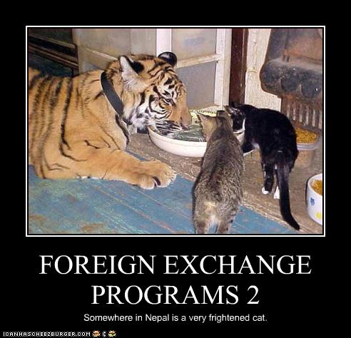 Foreign-exchange-programs