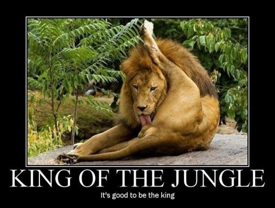 King of the jungle