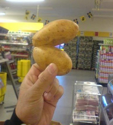 Pacman potato