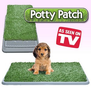 Potty patch