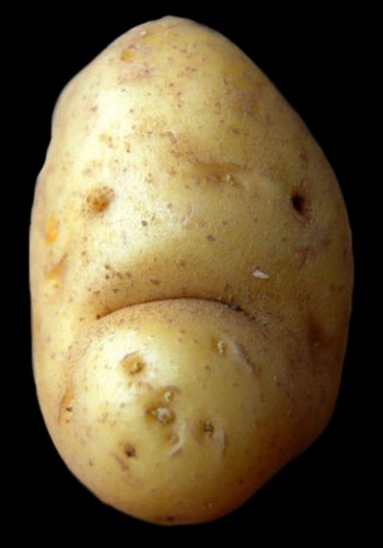 Sad potato