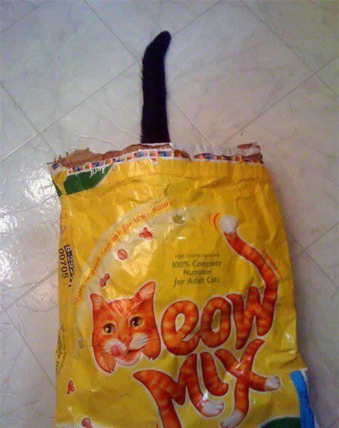 Meow mix