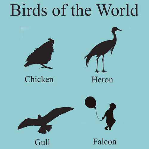 Birds of the world