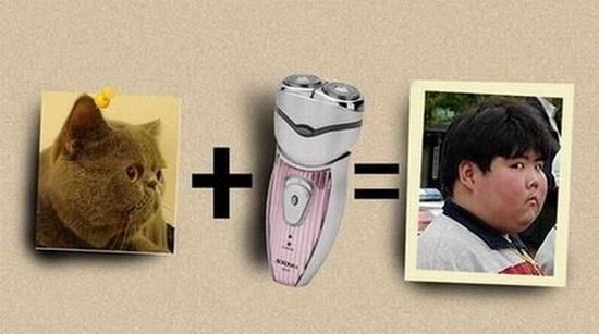 Cat razor