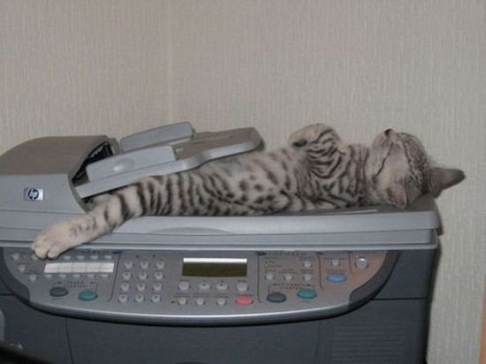 Cat scan