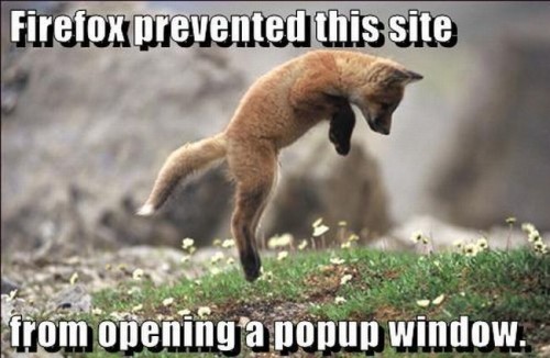 Firfox-presented-this-site-from-opening-a-popup-window-500x326