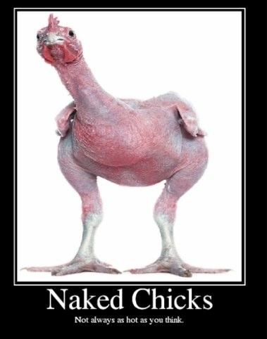 Naked chicks