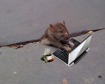 Rat pc