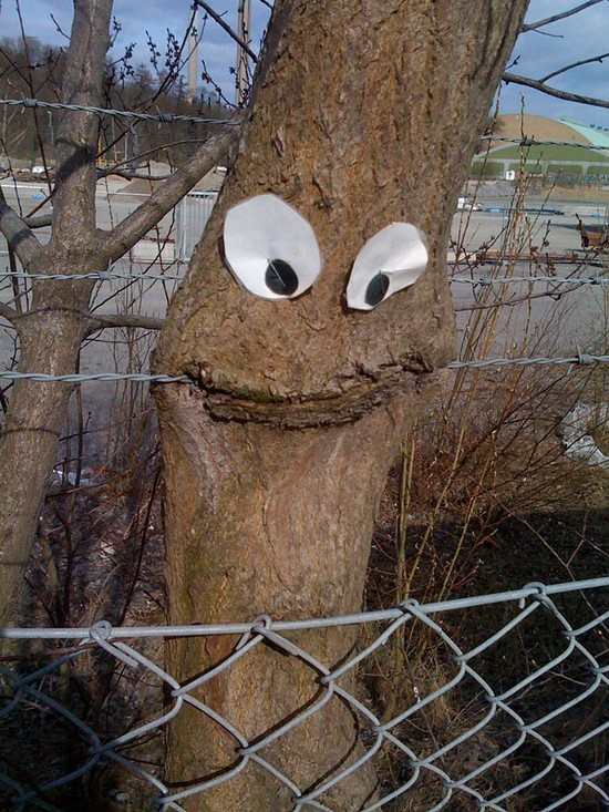 Silly tree