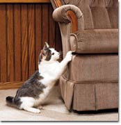 8297catscratchchair