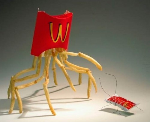 Fry Spider-500x407