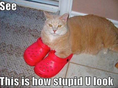 Crocs