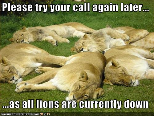 Lions down