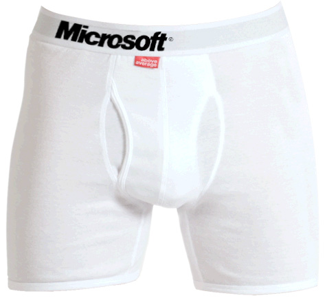 Microsoft briefs