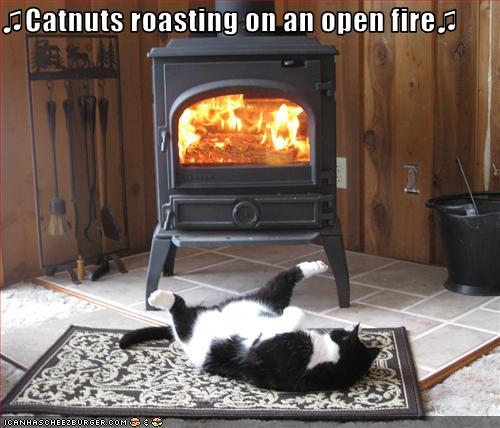 Catnuts