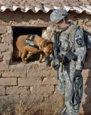 Mwd2