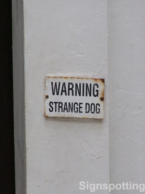 Sttange dog