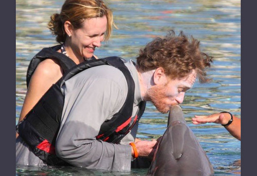 Conan kisses dolphin