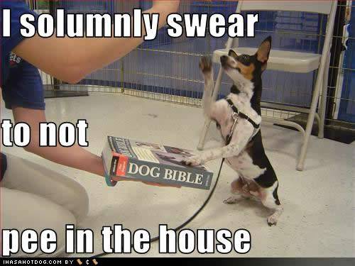 Dog bible