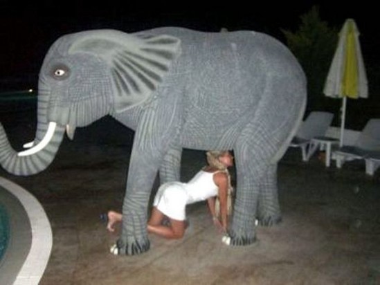 Elephant girl