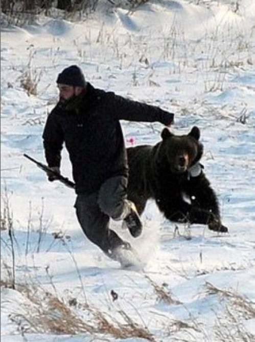 Run-from-bear-0