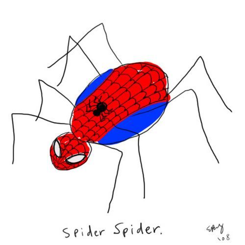 Spider spider