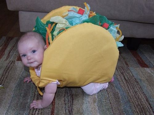 Taco