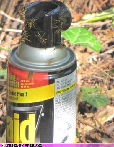 Wasp spray