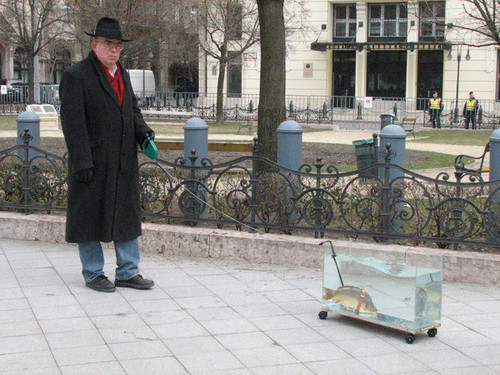 Fish walking