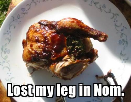 Lost-my-leg-in-NOM