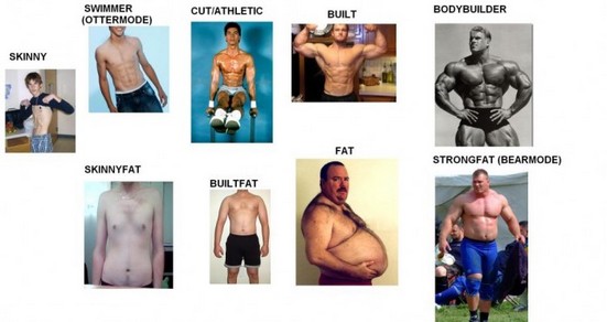 Male bodies