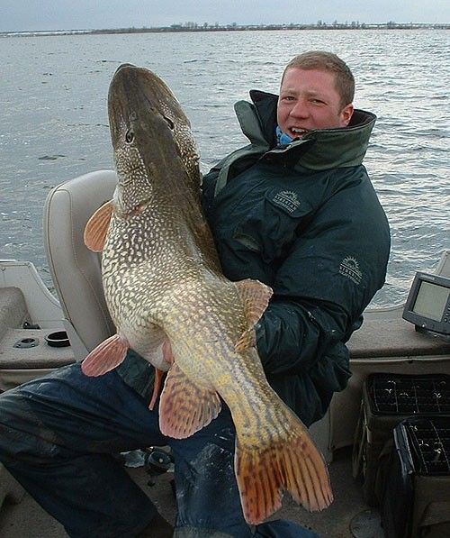 Pike2