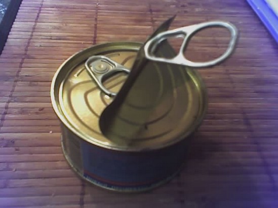 Canned meat