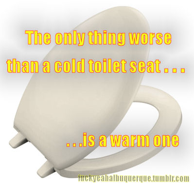 Toilet seat