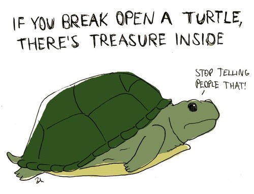 Trutle surprise