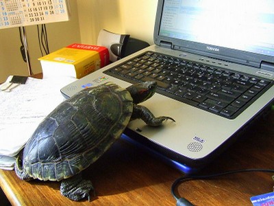 Turtle pc